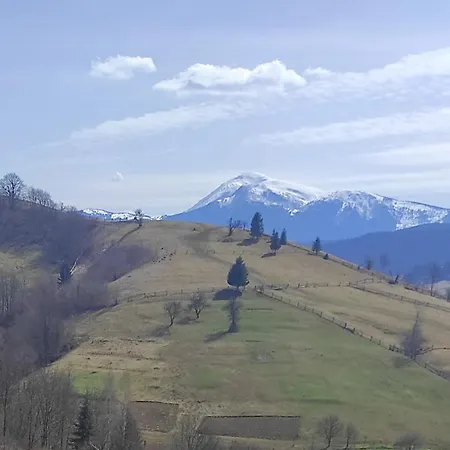 на лужку